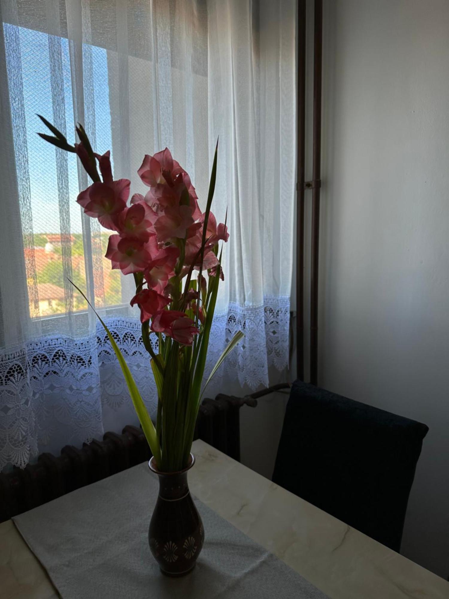 Tamaris Apartment Суботица Экстерьер фото